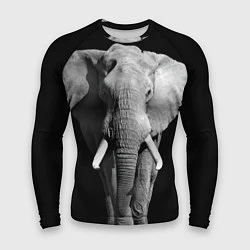 Рашгард мужской Старый слон, цвет: 3D-принт