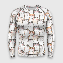 Мужской рашгард Кошки котики коты