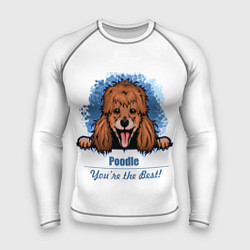 Мужской рашгард Собака Пудель Poodle