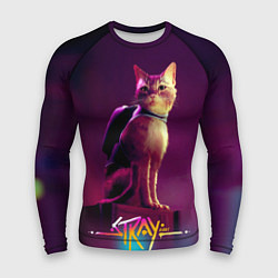 Рашгард мужской Stray cat кот бродяга, цвет: 3D-принт