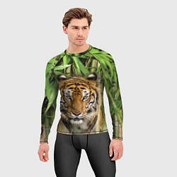 Рашгард мужской Матёрый тигр в зарослях бамбука, цвет: 3D-принт — фото 2