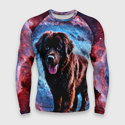 Рашгард мужской Ньюфаундленд в космосе, цвет: 3D-принт