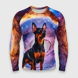 Рашгард мужской Пинчер в космосе, цвет: 3D-принт