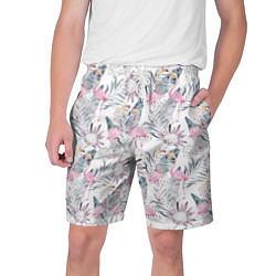 Мужские шорты Тропические фламинго