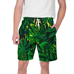 Мужские шорты В джунглях
