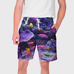 Шорты на шнурке мужские Коралловые рыбки, цвет: 3D-принт