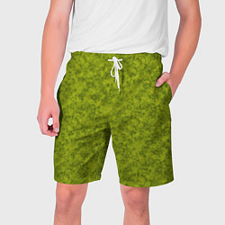 Шорты на шнурке мужские Зеленый мраморный узор, цвет: 3D-принт