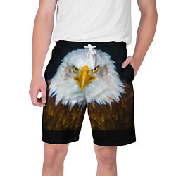 Шорты на шнурке мужские Белоголовый орлан, цвет: 3D-принт