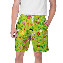 Шорты на шнурке мужские Летнее настроение - фрукты, цвет: 3D-принт