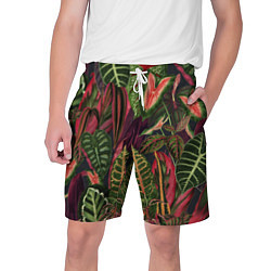 Шорты на шнурке мужские Красные Тропики, цвет: 3D-принт