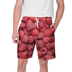 Мужские шорты Малина - ягоды