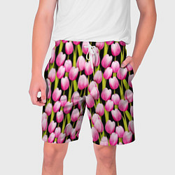 Мужские шорты Цветы Розовые Тюльпаны