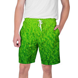 Мужские шорты Трава зеленая