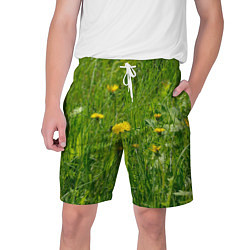 Шорты на шнурке мужские Солнечные одуванчики, цвет: 3D-принт