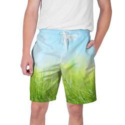 Шорты на шнурке мужские Зелень и небо, цвет: 3D-принт