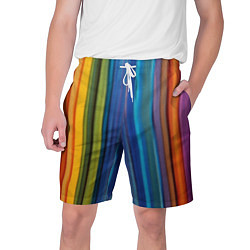 Мужские шорты Разноцветные вертикальные полосы
