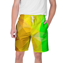 Шорты на шнурке мужские Жёлто-зелёная геометрия, цвет: 3D-принт