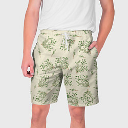 Мужские шорты Веточки с зелеными листьями