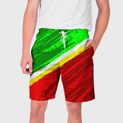 Шорты на шнурке мужские Расцветка Зеленоградского флага, цвет: 3D-принт