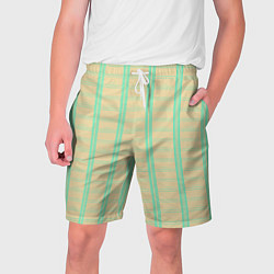 Шорты на шнурке мужские Color beige cage blue stripes, цвет: 3D-принт