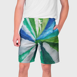 Мужские шорты Радуга цветов мальдивских островов