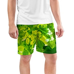 Шорты спортивные мужские Зелёные листья, цвет: 3D-принт — фото 2
