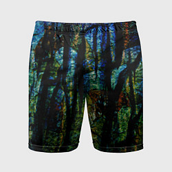 Шорты спортивные мужские Разноцветная гора, цвет: 3D-принт