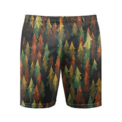 Мужские спортивные шорты Spruce forest