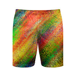 Мужские спортивные шорты Rainbow inclusions