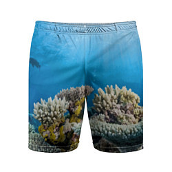 Шорты спортивные мужские Кораллы в тропических водах индийского океана, цвет: 3D-принт