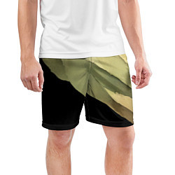 Шорты спортивные мужские Акварельные полосы на черном фоне, цвет: 3D-принт — фото 2