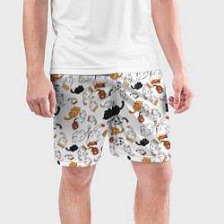 Шорты спортивные мужские Вечеринка кошек, цвет: 3D-принт — фото 2
