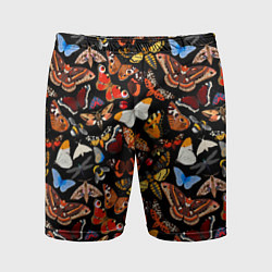 Мужские спортивные шорты Разноцветные тропические бабочки