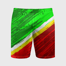Шорты спортивные мужские Расцветка Зеленоградского флага, цвет: 3D-принт