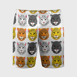 Мужские спортивные шорты Дикие цветные кошки