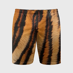 Мужские спортивные шорты Тигровая шкура