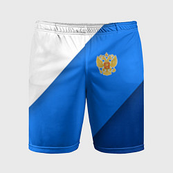 Мужские спортивные шорты Герб РФ - синии полосы