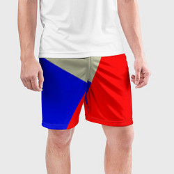 Шорты спортивные мужские Серо-сине-красный трёхцветный, цвет: 3D-принт — фото 2