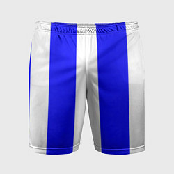 Мужские спортивные шорты Color white blue line