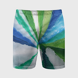 Шорты спортивные мужские Радуга цветов мальдивских островов, цвет: 3D-принт