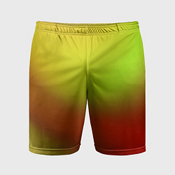 Мужские спортивные шорты Color multicolored gradient