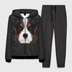 Костюм мужской Cavalier King Charles, цвет: 3D-черный