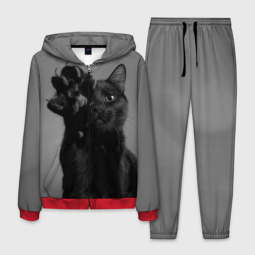 Мужской костюм Черный котик / 3D-Красный – фото 1