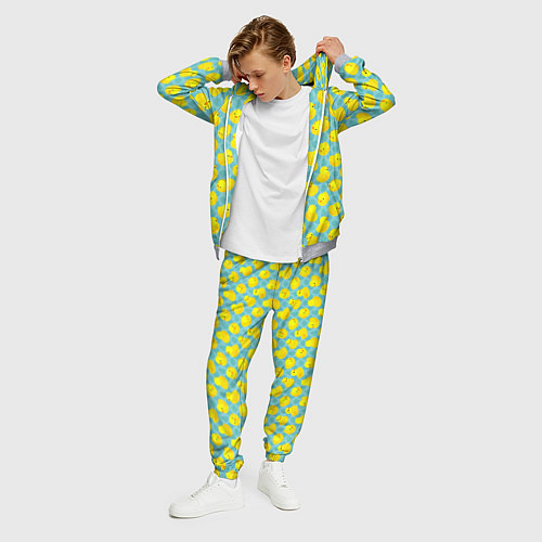 Мужской костюм Уточка / 3D-Меланж – фото 3