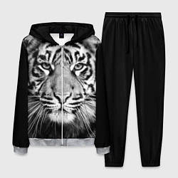 Костюм мужской Красавец тигр, цвет: 3D-меланж