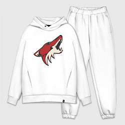 Мужской костюм оверсайз Phoenix Coyotes