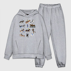 Мужской костюм оверсайз Конный виды спорта, цвет: меланж