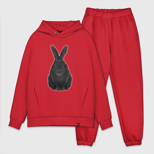 Мужской костюм оверсайз Черный водяной кролик - 2023 / Красный – фото 1