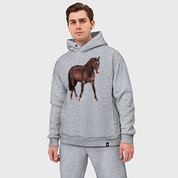 Мужской костюм оверсайз Австралийская пастушья лошадь, цвет: меланж — фото 2