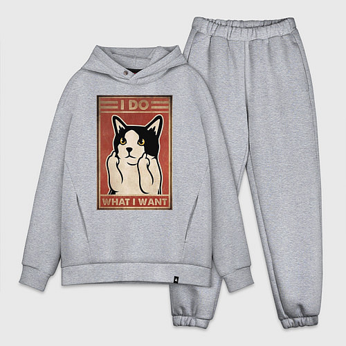 Мужской костюм оверсайз I do what I want кот и фак / Меланж – фото 1